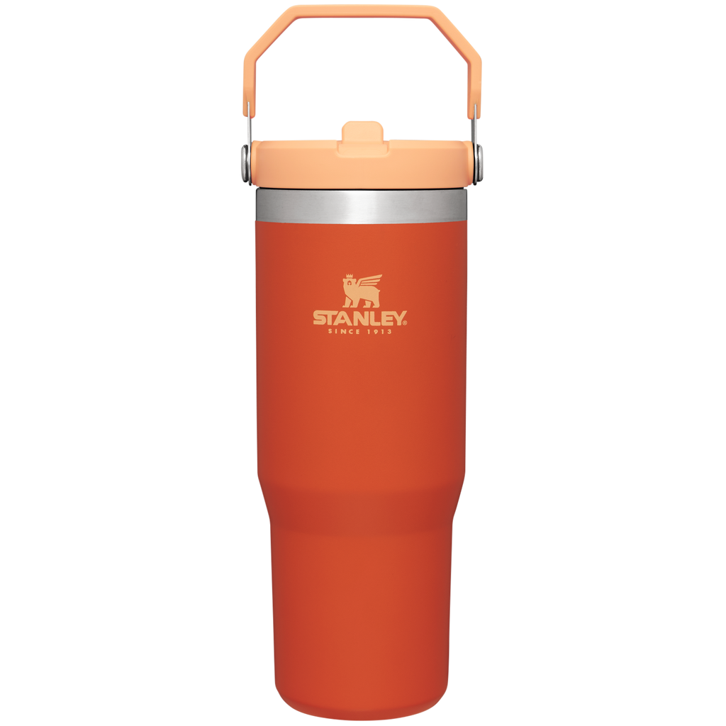 Stanley IceFlow™ Flip Straw 2.0 Tumbler – 30 oz