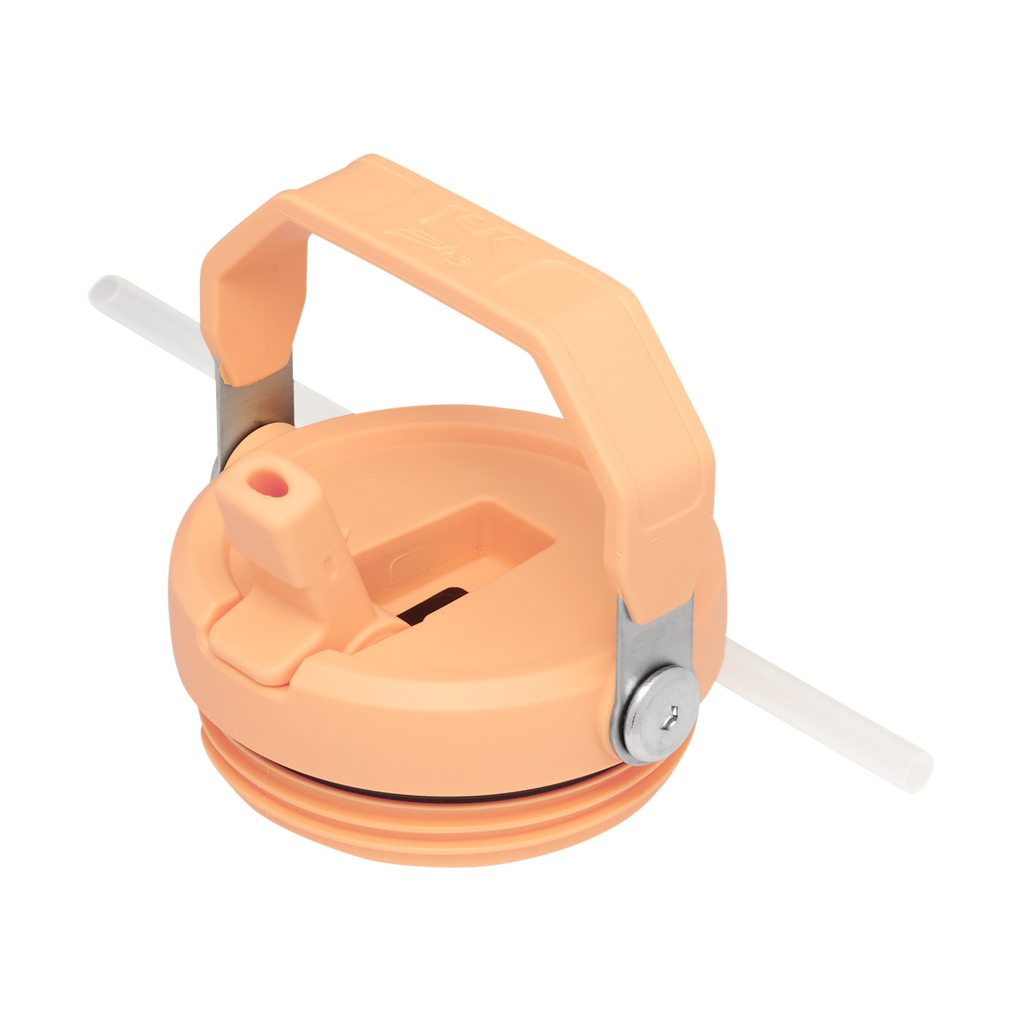 Stanley IceFlow™ Flip Straw 2.0 Tumbler – 30 oz