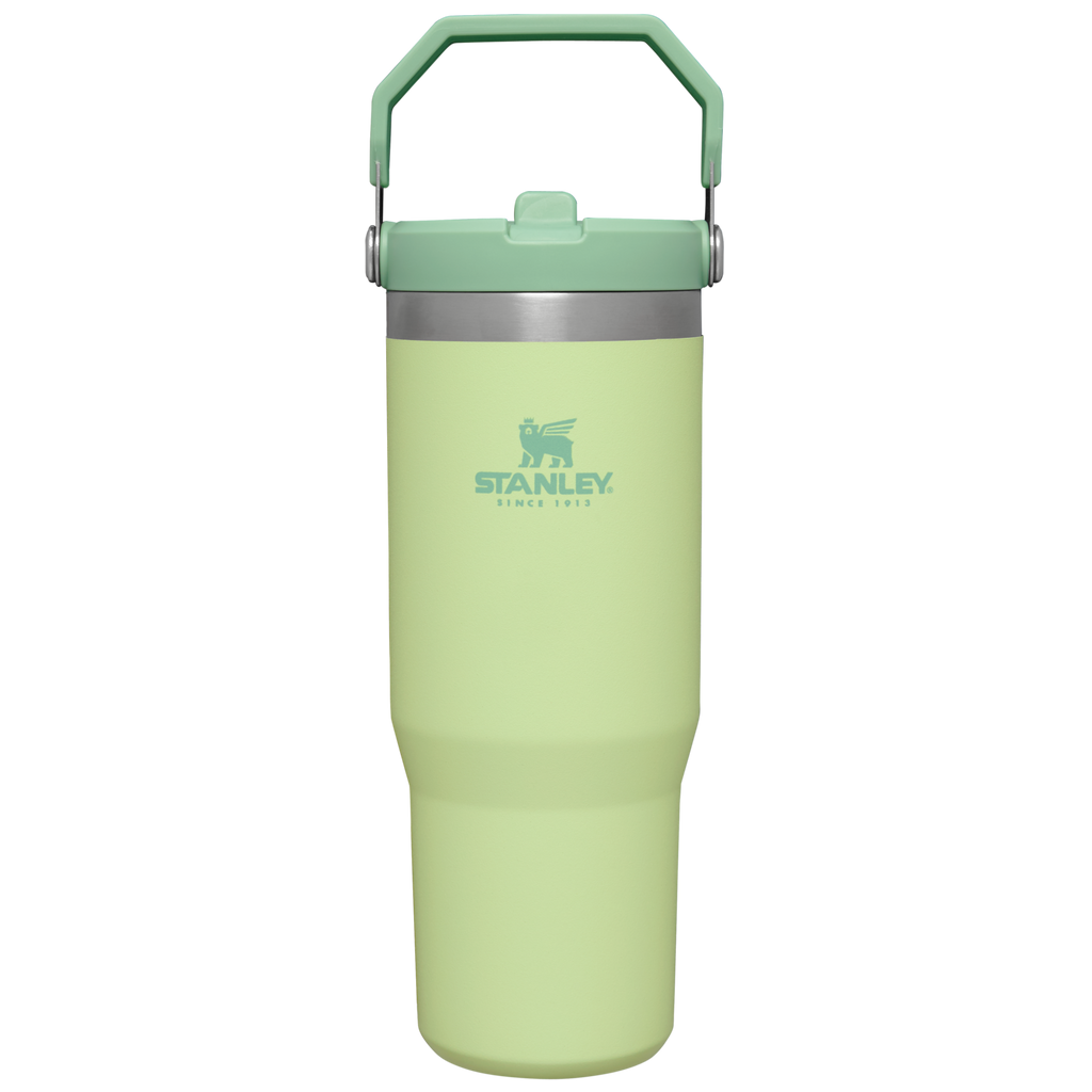 Stanley IceFlow™ Flip Straw 2.0 Tumbler – 30 oz