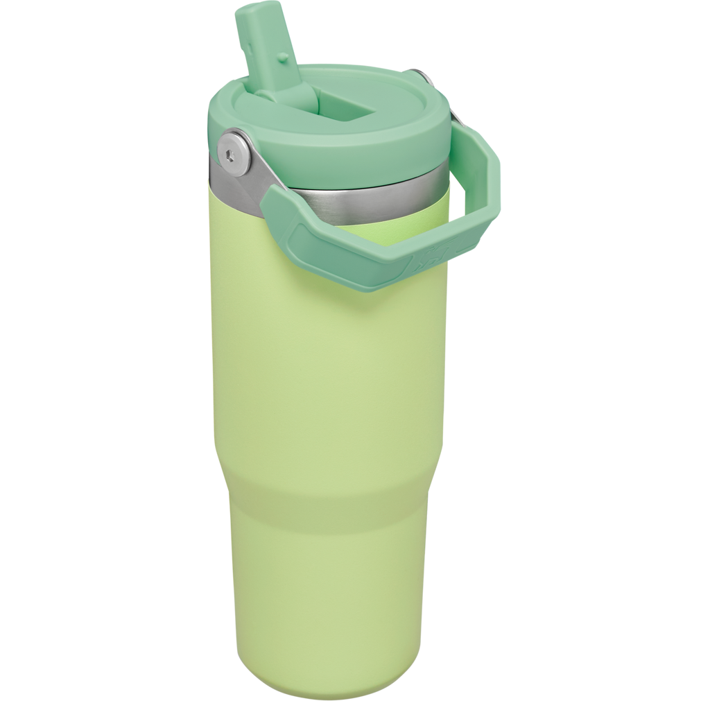 Stanley IceFlow™ Flip Straw 2.0 Tumbler – 30 oz